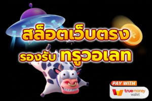 ฝากถอนวอเลท TrueMoney Wallet
